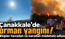 Çanakkale’de orman yangını! Ekipler havadan ve karadan müdahale ediyor