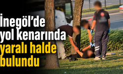 İnegöl’de yol kenarında yaralı halde bulundu