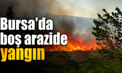 Bursa’da boş arazide yangın