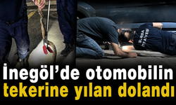 İnegöl’de otomobilin tekerine yılan dolandı