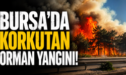 Bursa’da Korkutan Orman Yangını!