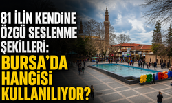 Türkiye’nin Seslenme Haritası. İl il seslenme şekilleri