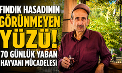 Fındık Hasadının Görünmeyen Yüzü: 70 Günlük Yaban Hayvanı Mücadelesi