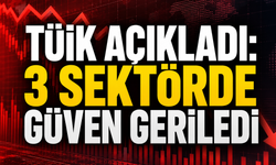 TÜİK Açıkladı: 3 Sektörde Güven Geriledi