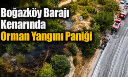 Boğazköy Barajı Kenarında Orman Yangını Paniği