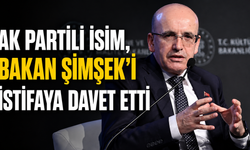 AK Partili isim, bakan Şimşek'i istifaya davet etti