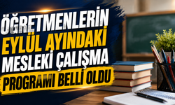 Öğretmenlerin Eylül Ayındaki Mesleki Çalışma Programı Belli Oldu
