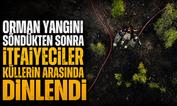 Orman yangını söndükten sonra itfaiyeciler küllerin arasında dinlendi
