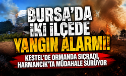 Bursa’da iki ilçede yangın alarmı! Kestel’de ormana sıçradı, Harmancık’ta müdahale sürüyor