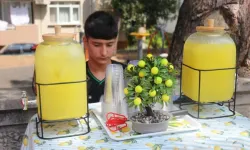 14 yaşında limonata satarak ayda 90 bin lira kazanıyor