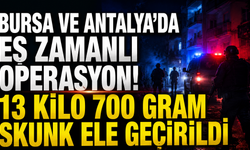 Bursa ve Antalya’da eş zamanlı operasyon! 13 kilo 700 gram skunk ele geçirildi