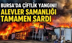Bursa’da çiftlik yangını! Alevler samanlığı tamamen sardı