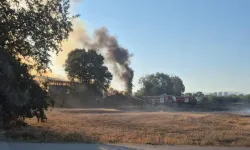 Bursa’da depo ve tarlalık alanda yangın