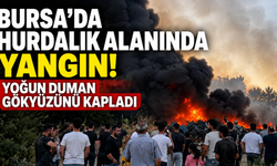 Bursa’da Hurdalık Alanda Yangın! Yoğun Duman Gökyüzünü Kapladı