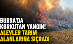 Bursa’da Korkutan Yangın! Alevler Tarım Alanlarına Sıçradı
