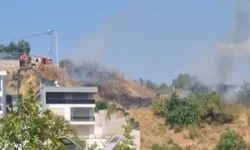 Bursa'da otluk alanda çıkan yangın hızlı müdahale ile söndürüldü