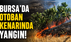Bursa’da otoban kenarında yangın! Ekipler ve vatandaşlar müdahale etti