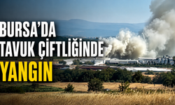 Bursa’da tavuk çiftliğinde yangın