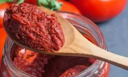 Domates Salçası Sezonu Açıldı! Evde Salça Yapmanın Püf Noktaları