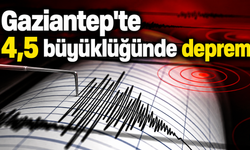 Gaziantep'te 4,5 büyüklüğünde deprem