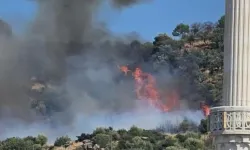 Gebze’de orman yangını! Çok sayıda ekip sevk edildi