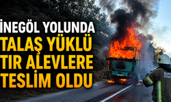 İnegöl yolunda talaş yüklü tır alevlere teslim oldu