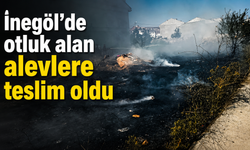 İnegöl’de otluk alan alevlere teslim oldu