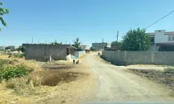 Kedinin ısırdığı 4 yaşındaki çocuk entübe edildi! Kuduz testi pozitif çıktı