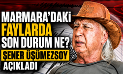 Marmara’daki faylarda son durum ne? Şener Üşümezsoy açıkladı