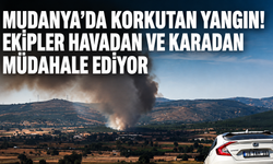 Mudanya’da korkutan yangın! Ekipler havadan ve karadan müdahale ediyor