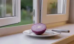 Pencere Eşiğine Soğan Koymak Sivrisinekleri Uzaklaştırır mı?