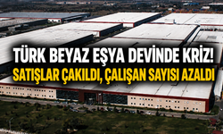 Türk Beyaz Eşya Devinde Kriz! Satışlar Çakıldı, Çalışan Sayısı Azaldı