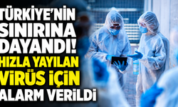 Türkiye’nin sınırına dayandı! Hızla yayılan virüs için alarm verildi