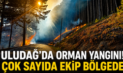 Uludağ’da Orman Yangını! Ekipler Havadan ve Karadan Müdahale Ediyor