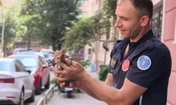 İnegöl’de gider borusuna sıkışan yavru kedi böyle kurtarıldı