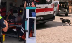 İnegöl’de köpeğe çarpmamak için manevra yapan motosikletli yaralandı