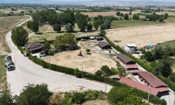 İnegöl’de Şekibe İnsel Doğal Yaşam Çiftliği atlı binicilik merkezine dönüşüyor