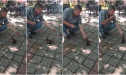 İnegöl’de sincap ve kumruyu elleriyle besledi