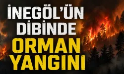 İnegöl'ün dibinde orman yangını