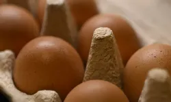 Kahvaltı sofralarının vazgeçilmeziydi! Yumurtalarda salmonella alarmı