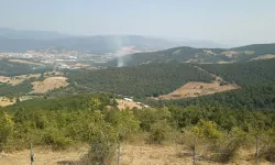 Kestel'de Ümitalan Mevkiinde Orman Yangını