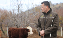 Köye Yerleşip Hayvancılık Yapana Devlet Desteği! Hangi Yardımlar Veriliyor, Kimler Yararlanabiliyor?