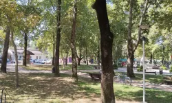 Kuğulu Parktaki binalar neden yıkılıyor? Yerine ne yapılacak? İşte cevabı..