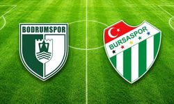Bodrum FK-Bursaspor maç özeti
