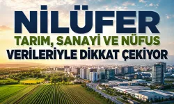 Yatırımcıların göz bebeği Nilüfer'in istatistikleri umut verdi