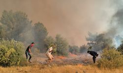 Antalya'daki orman yangını kontrol altına alınamadı