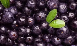 Açai Meyvesi Nedir? Açai Berry Faydaları Nelerdir, Kilo Verdirir Mi?