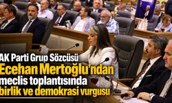 AK Parti Grup Sözcüsü Ecehan Mertoğlu'ndan meclis toplantısında birlik ve demokrasi vurgusu