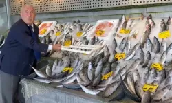 Balık sezonunda tezgâhlar hareketlendi: Hamsi 200, palamut 100 liradan başlıyor