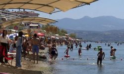 Sezonun sonuna gelinirken Bursa sahillerinden müjdeli haber